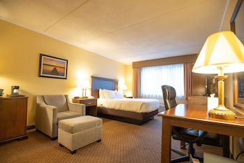 Standard Room, 1 Double Bed, Accessible, Non Smoking