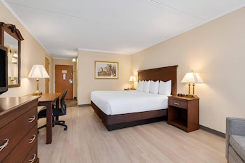Standard Room, 1 King Bed, Non Smoking