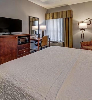 Room, 1 King Bed, Hearing Accessible, Non Smoking