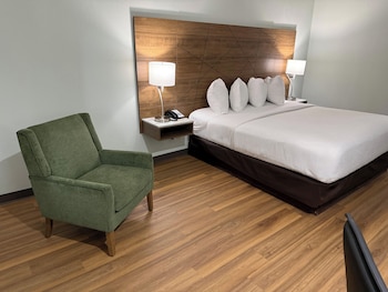 Room, 1 King Bed, Mobility Accessible, Non Smoking (Mobility, Bathtub W/grab Bars)