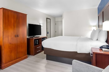 Standard Room, 1 King Bed, Non Smoking