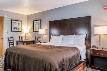 Room, 1 King Bed, Accessible, Non Smoking