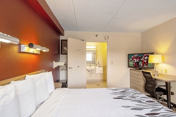 Standard Room, 1 Double Bed, Accessible (Roll-In Shower, Smoke Free)