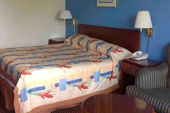 Room, 1 King Bed, Non Smoking, Kitchenette