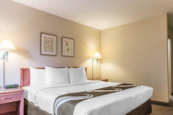 Standard Room, 1 King Bed, Non Smoking