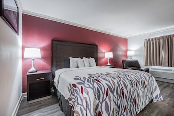 Superior Room, 1 King Bed, Accessible, Non Smoking (Roll-In Shower)