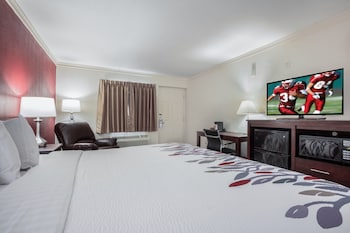 Superior Room, 1 King Bed, Accessible, Non Smoking (Roll-In Shower)