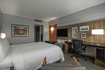 Room, 1 King Bed
