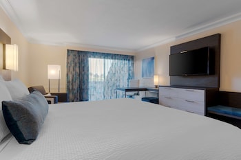 Standard Room, 1 King Bed with Sofa bed, Non Smoking, Kitchenette (with Sofabed)