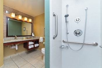 Standard Room, 1 King Bed, Roll-in Shower (Mobility Accessible)
