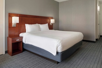 Room, 1 King Bed with Sofa bed