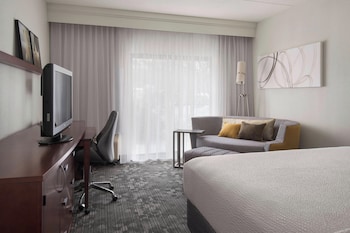 Room, 1 King Bed with Sofa bed