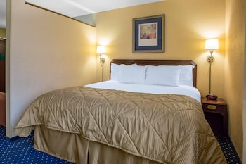 Room, 1 King Bed, Accessible, Non Smoking