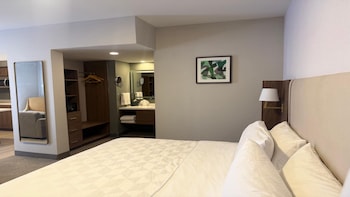 Suite, 1 King Bed