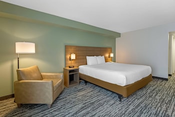Room, 1 King Bed, Accessible, Non Smoking