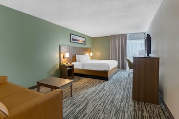 Room, 1 King Bed, Non Smoking
