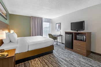 Room, 1 King Bed, Non Smoking
