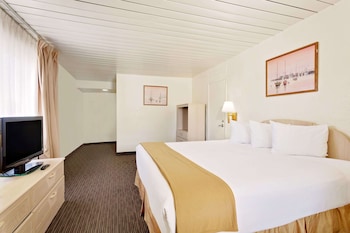 Room, 1 King Bed