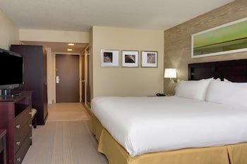 Standard Room, 1 King Bed, Accessible (Communications, Mobility, Access Tub)