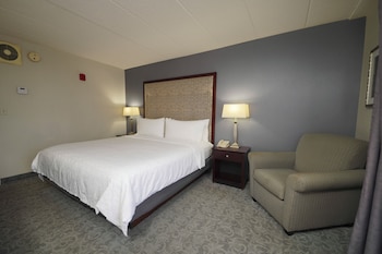 Suite, 1 King Bed