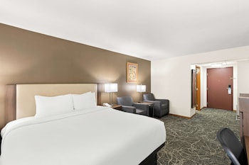 Standard Room, 1 King Bed, Non Smoking, Refrigerator & Microwave