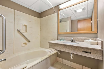Standard Room, 1 King Bed, Accessible, Bathtub (with Sofabed)