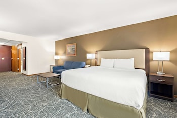 Standard Room, 1 King Bed, Accessible, Bathtub (with Sofabed)
