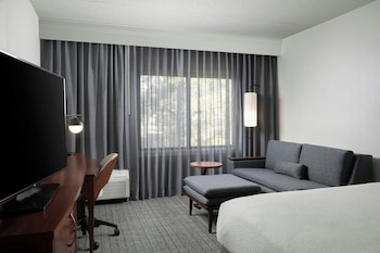 Room, 1 King Bed with Sofa bed