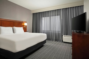 Suite, 1 King Bed with Sofa bed (Hearing Accessible)