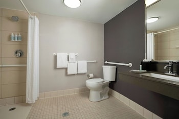 Room, 1 King Bed with Sofa bed (Mobility/Hearing Access, Roll-In Shwr)