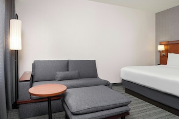 Room, 1 King Bed with Sofa bed