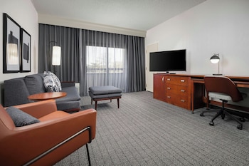 Suite, 1 King Bed with Sofa bed