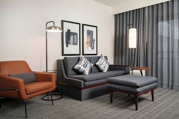 Suite, 1 King Bed with Sofa bed (Hearing Accessible)