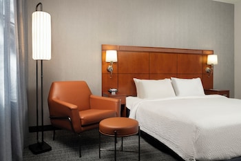 Room, 1 King Bed with Sofa bed (Mobility/Hearing Access, Roll-In Shwr)