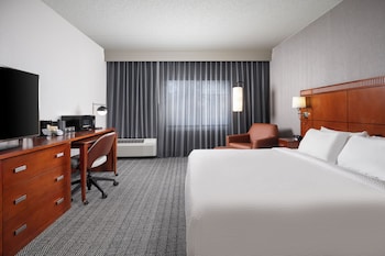 Room, 1 King Bed with Sofa bed (Mobility/Hearing Access, Roll-In Shwr)