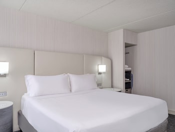 Standard Room, 1 King Bed, Roll-in Shower (Mobility Accessible)