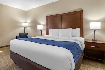 Standard Room, 1 King Bed, Non Smoking