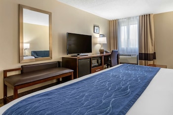 Standard Room, 1 King Bed with Sofa bed, Non Smoking