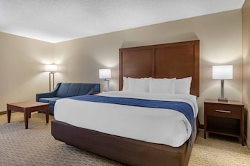 Standard Room, 1 King Bed with Sofa bed, Non Smoking