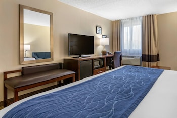 Standard Room, 1 King Bed with Sofa bed, Non Smoking