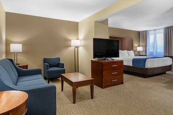 Suite, 1 King Bed with Sofa bed, Non Smoking