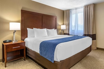 Suite, 1 King Bed with Sofa bed, Non Smoking
