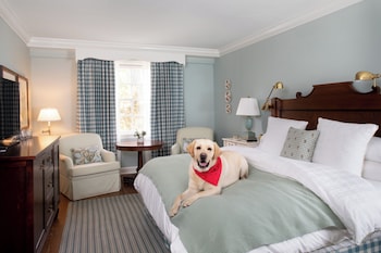 Room, 1 King Bed (Woodstock | Dog Friendly)