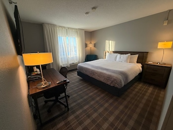 Room, 1 King Bed, Non Smoking