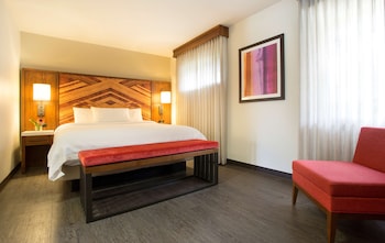 Room, 1 King Bed, Accessible, Bathtub