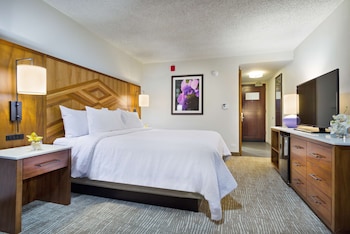 Room, 1 King Bed, Accessible, Bathtub
