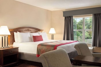 Studio Suite, Multiple Beds, Non Smoking