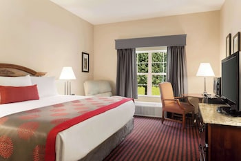 Room, 1 King Bed, Accessible, Non Smoking