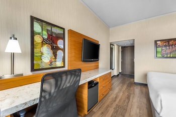 Room, 1 King Bed, Non Smoking