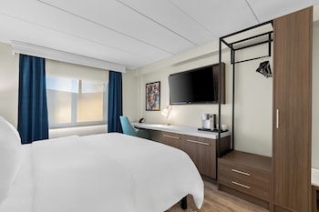 Studio, 1 Queen Bed